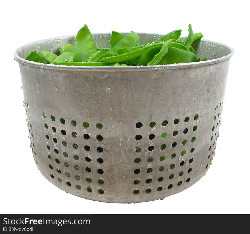 Bucket of freshly picked organic snow peas. Bucket of freshly picked organic snow peas