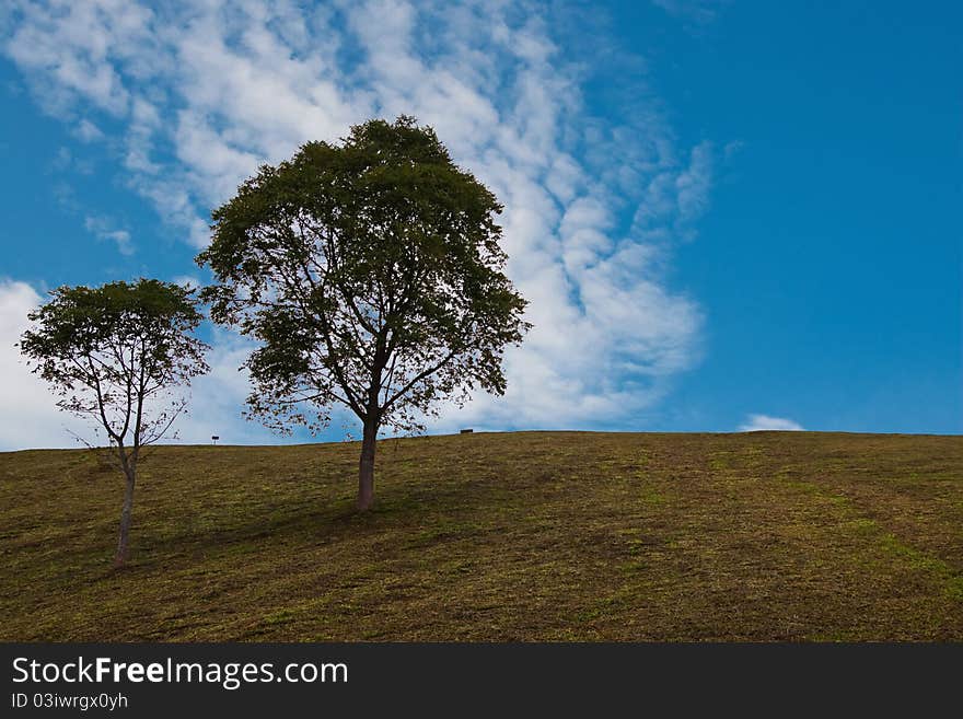 Green trees against cloud blue sky landscape. Green trees against cloud blue sky landscape