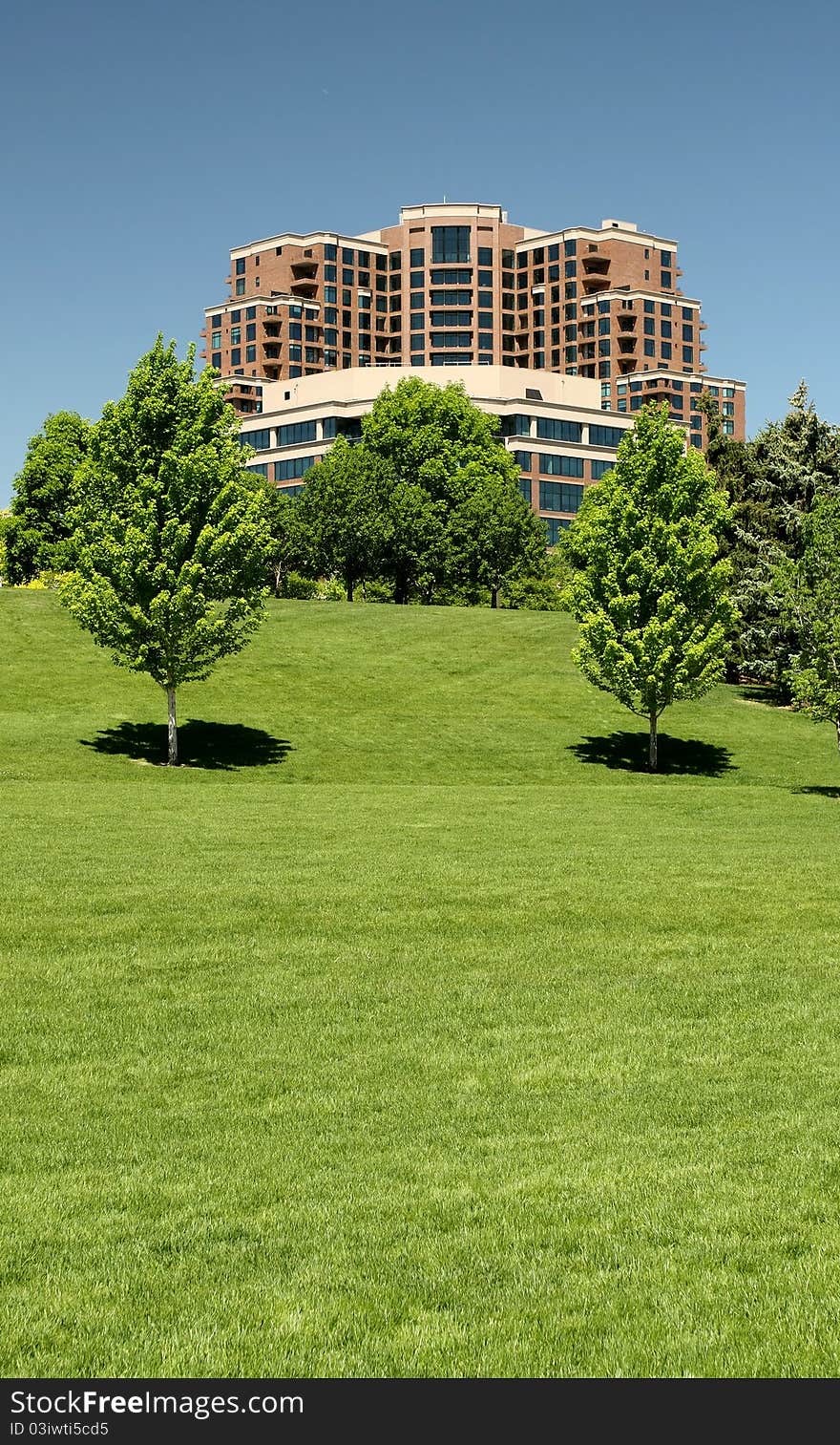 Highrise and Green Space in Industrial Park