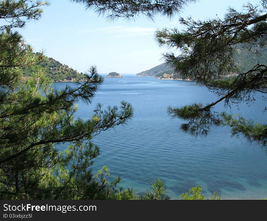 Beach Landscape View Of Island Among Fir Branches