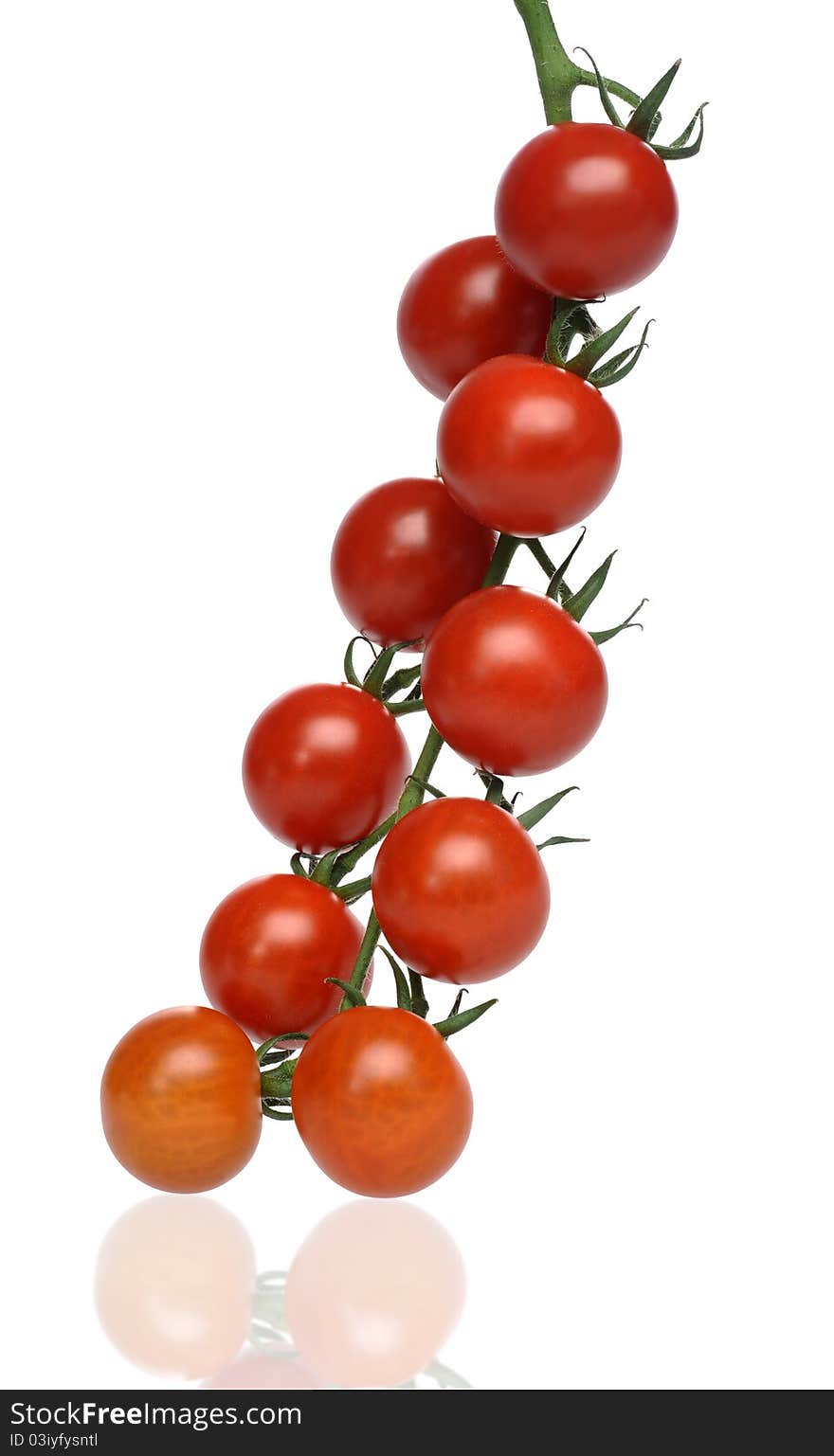 Juicy Red Tomatoes