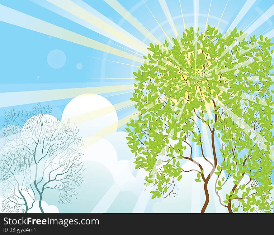 Sun rays shine through the tree in summer day.Vector illustration. Sun rays shine through the tree in summer day.Vector illustration