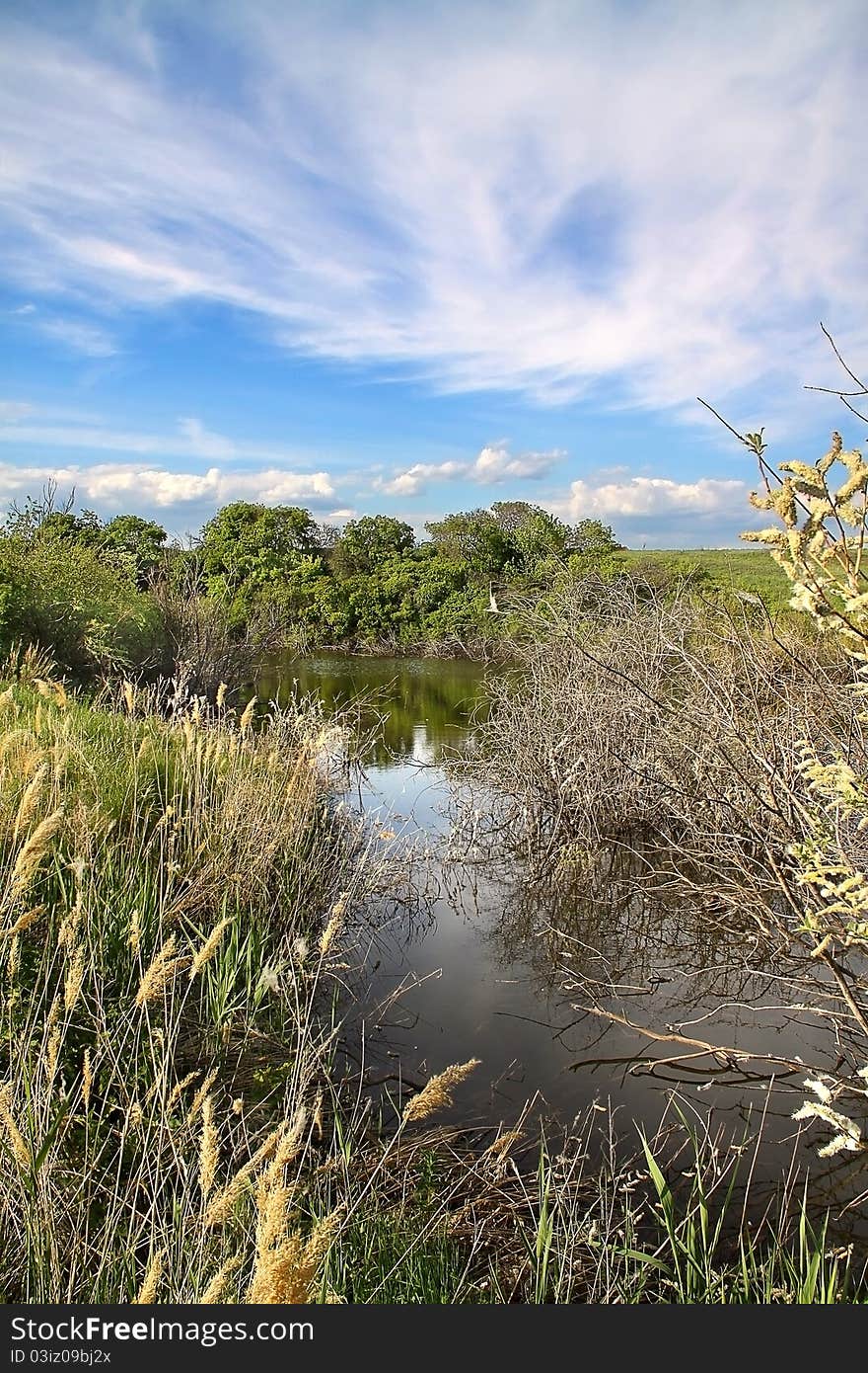 Landscape small river sunny summer day. Landscape small river sunny summer day