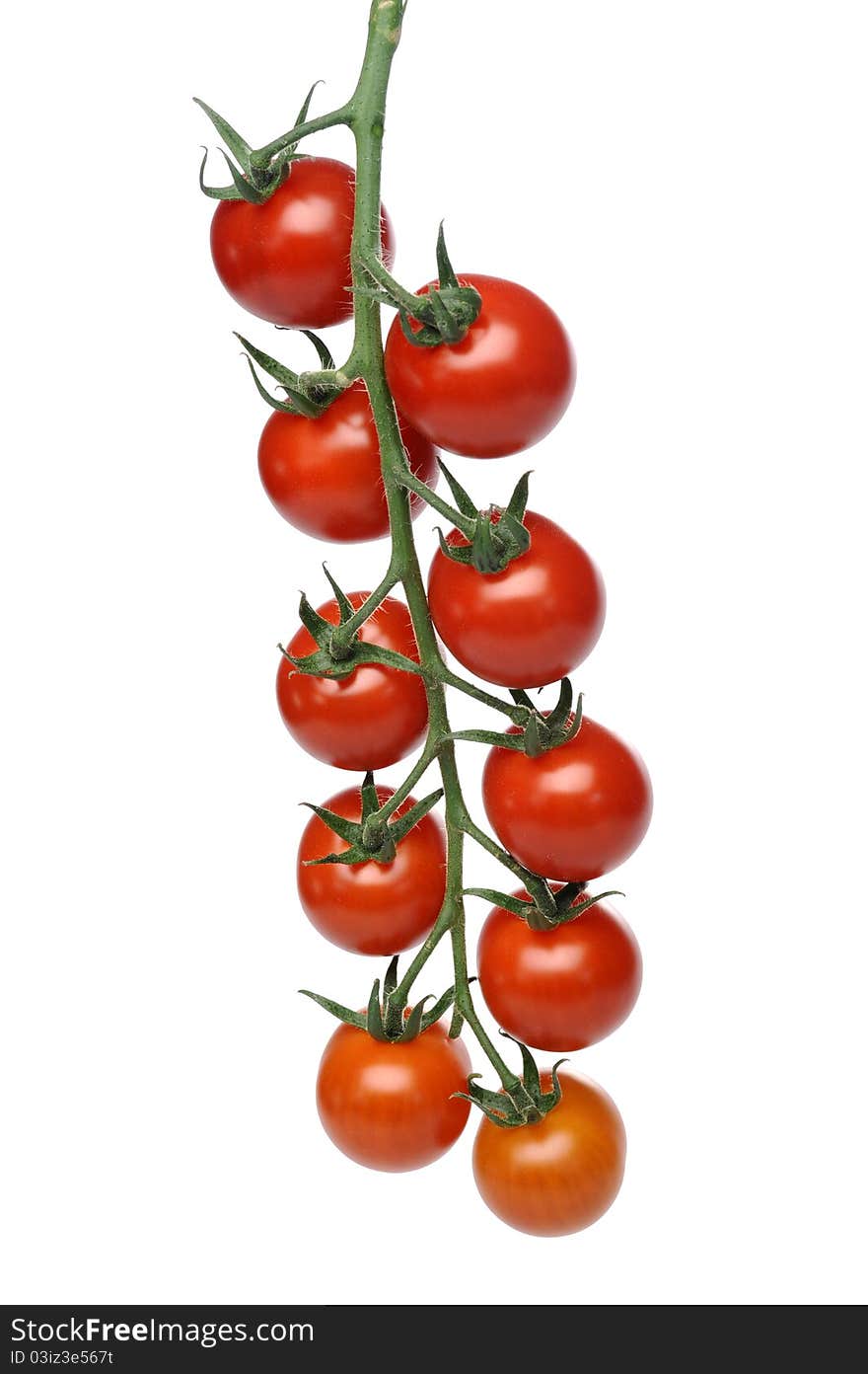 Juicy red tomatoes