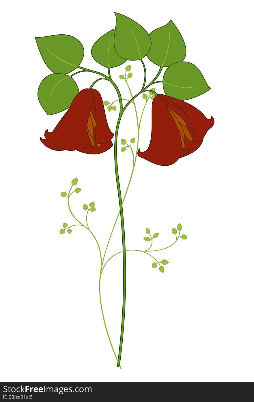 Vector illustration of beautiful single stemmed flower. Vector illustration of beautiful single stemmed flower