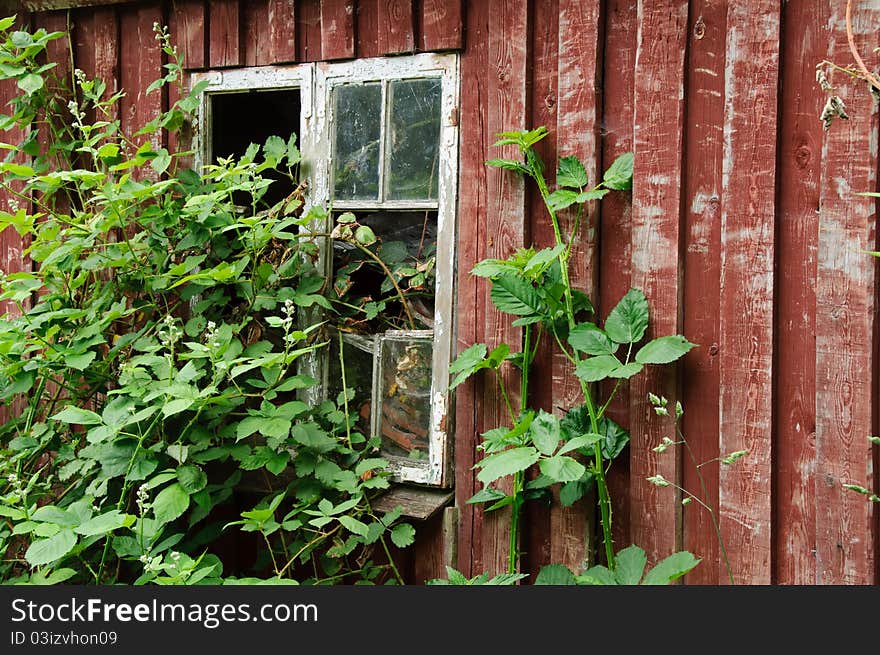 Old window in summerhouse that needs renovation