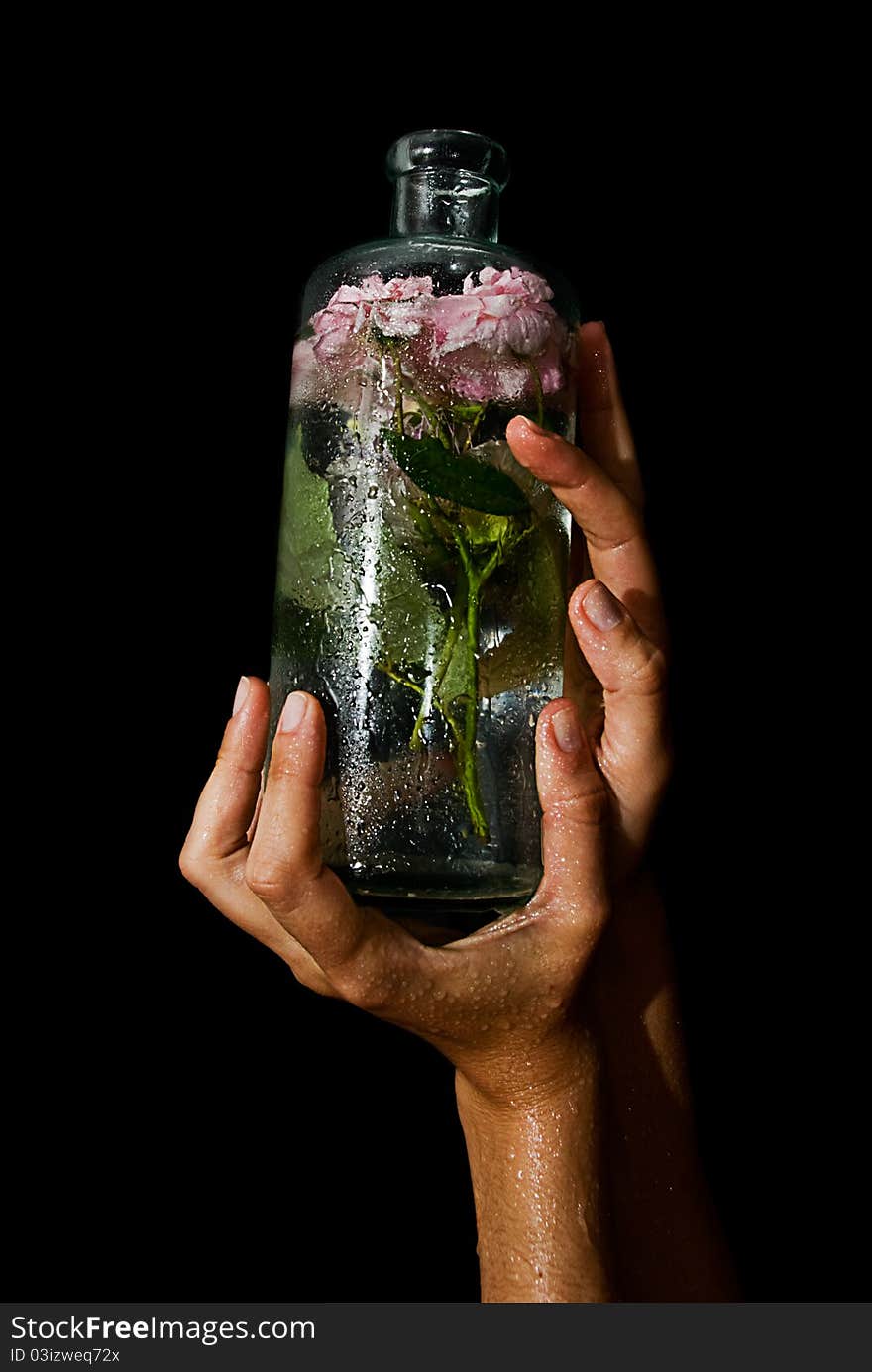 Flowers in a bottle with water. Flowers in a bottle with water