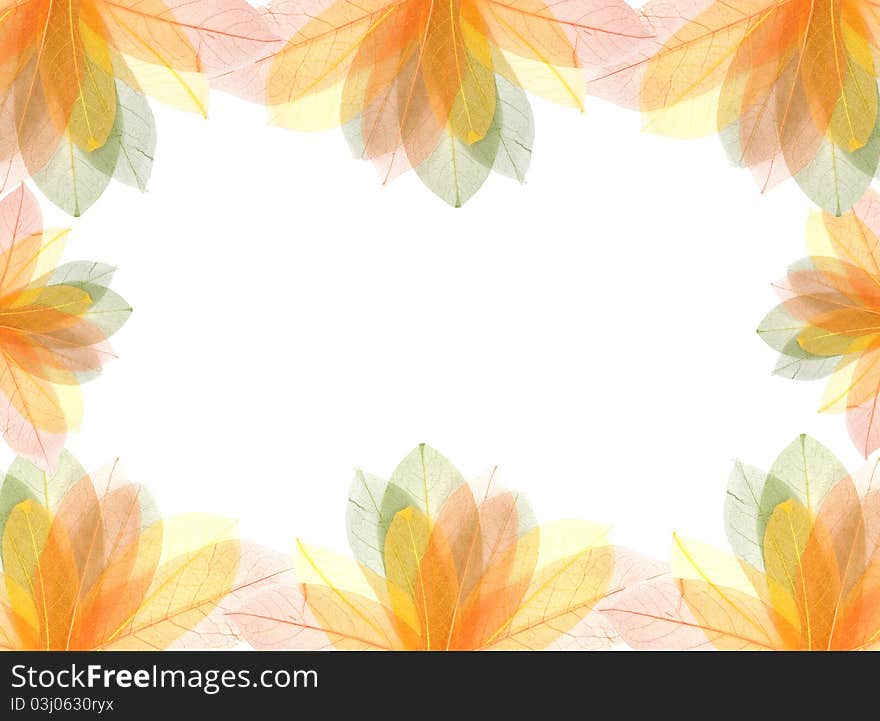 Transparent colorful summer leaves frame isolated on white. Transparent colorful summer leaves frame isolated on white