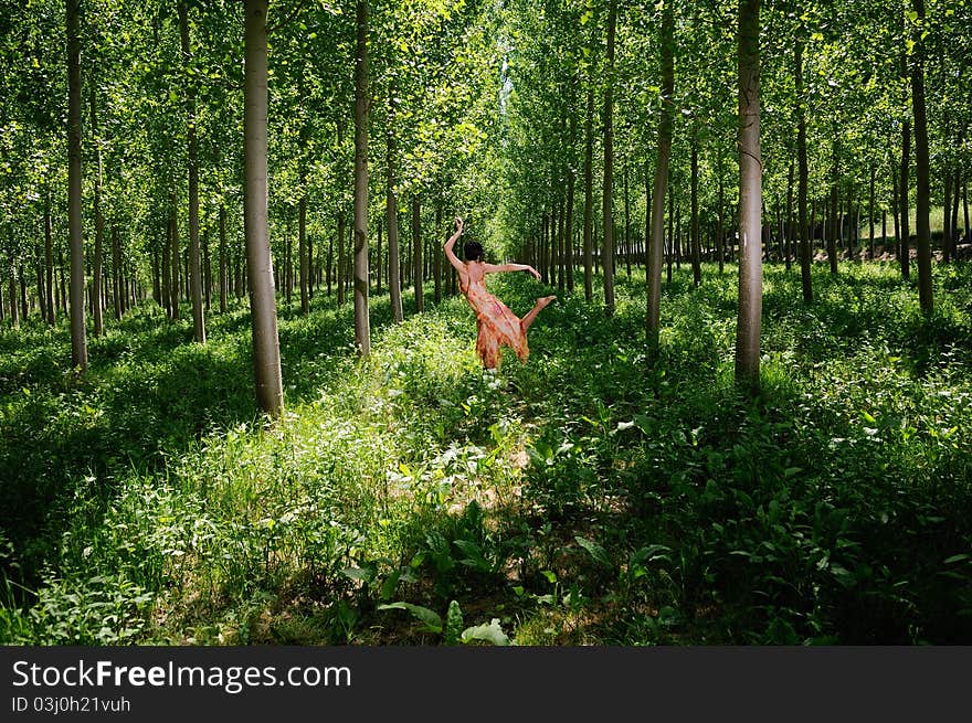 Beauty in the forest