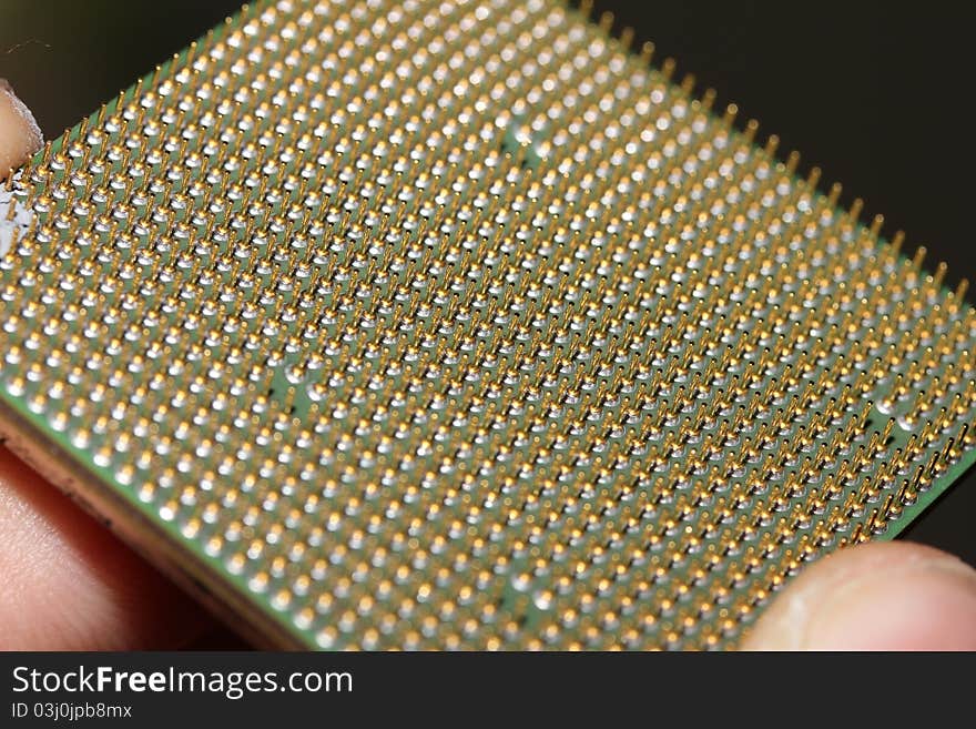 An macro shot of some golden cpu connector pins. An macro shot of some golden cpu connector pins