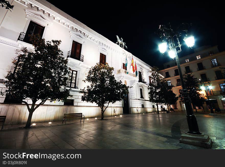 City Council Of Granada