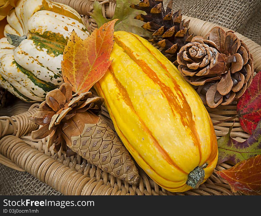 Basket of Fall fruits and cones