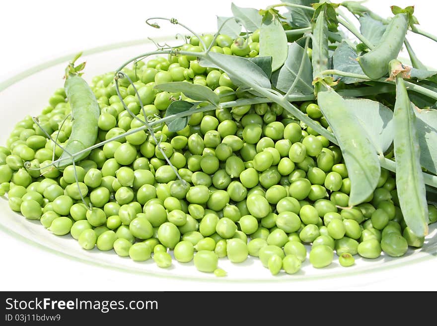 Green peas with plant on white background