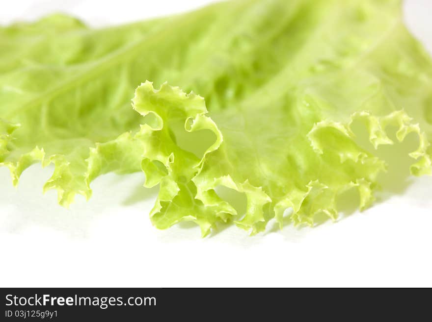 Lettuce, salad vegetable on natural