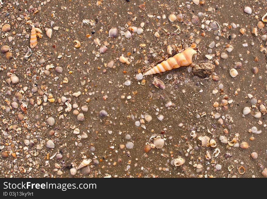 Surface texture of gray sand beach