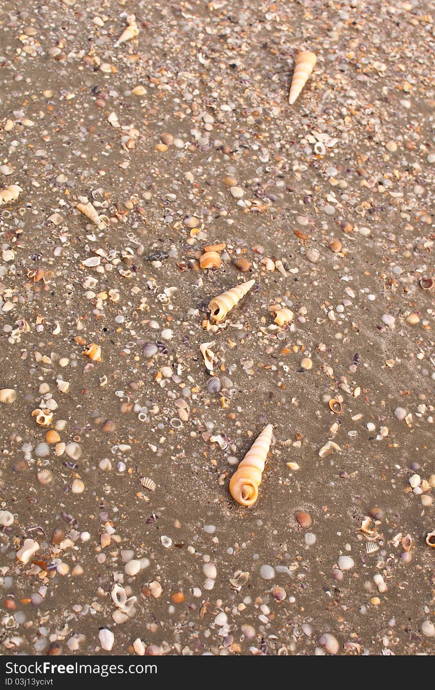 Surface texture of gray sand beach