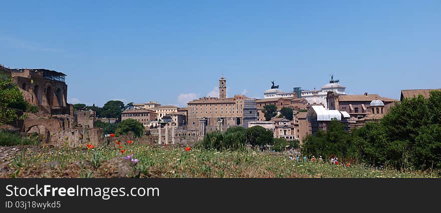 The view of the Forum Romanum, Rome, Italy