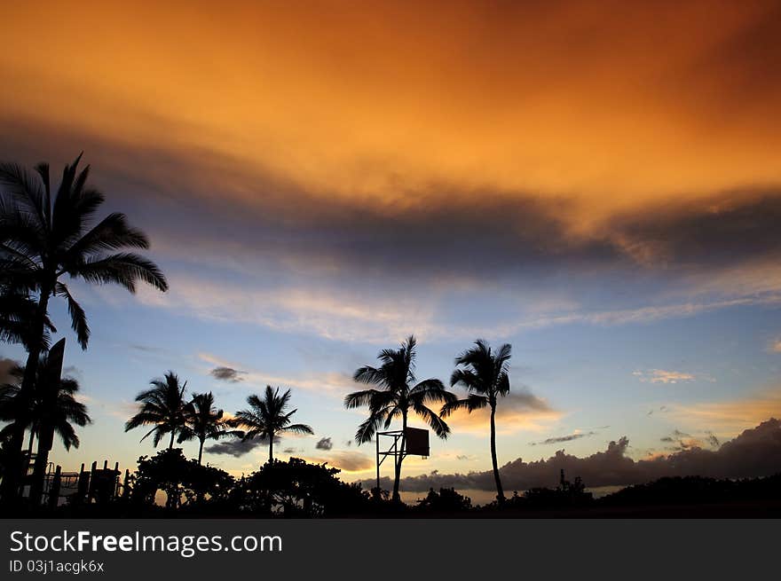 The silhouette of palm trees at sunset on the North Shore of Oahu in Hawaii with the sun's glow off thunder clouds. The silhouette of palm trees at sunset on the North Shore of Oahu in Hawaii with the sun's glow off thunder clouds.