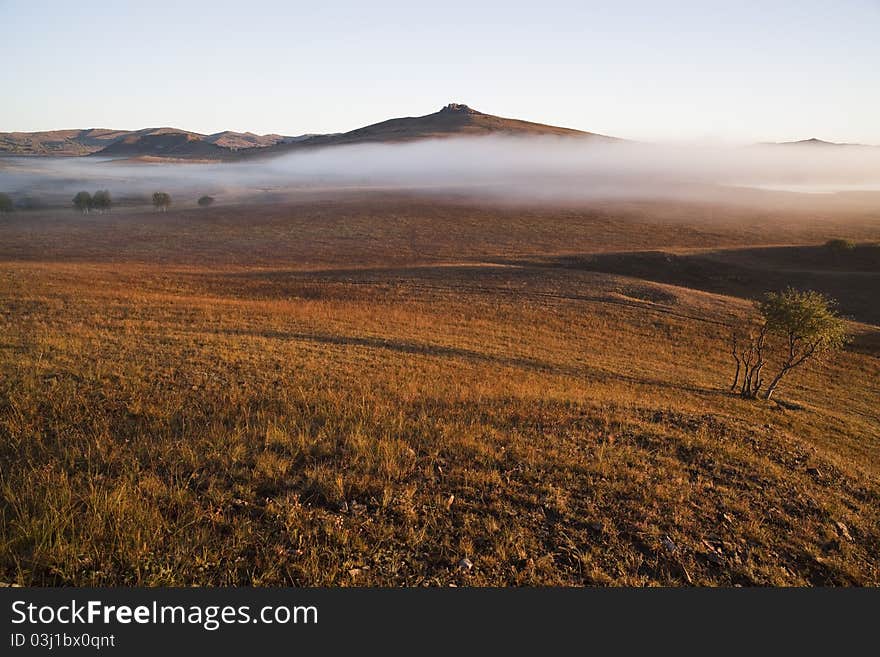 Bashang grassland in May ,China