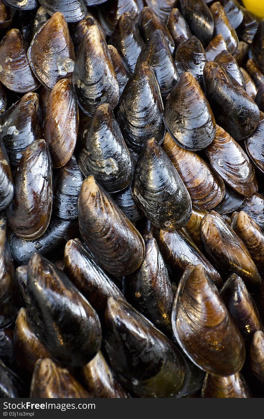 Appetizer stuffed mussels. Street vendor sells mussels with a squirt of lemon juice in Istanbul-Turkey