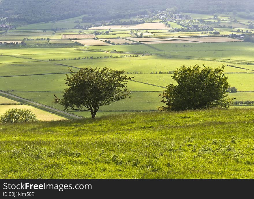 A view of the Lyth Valley, Cumbria, England, with two small trees in the foreground. A view of the Lyth Valley, Cumbria, England, with two small trees in the foreground.