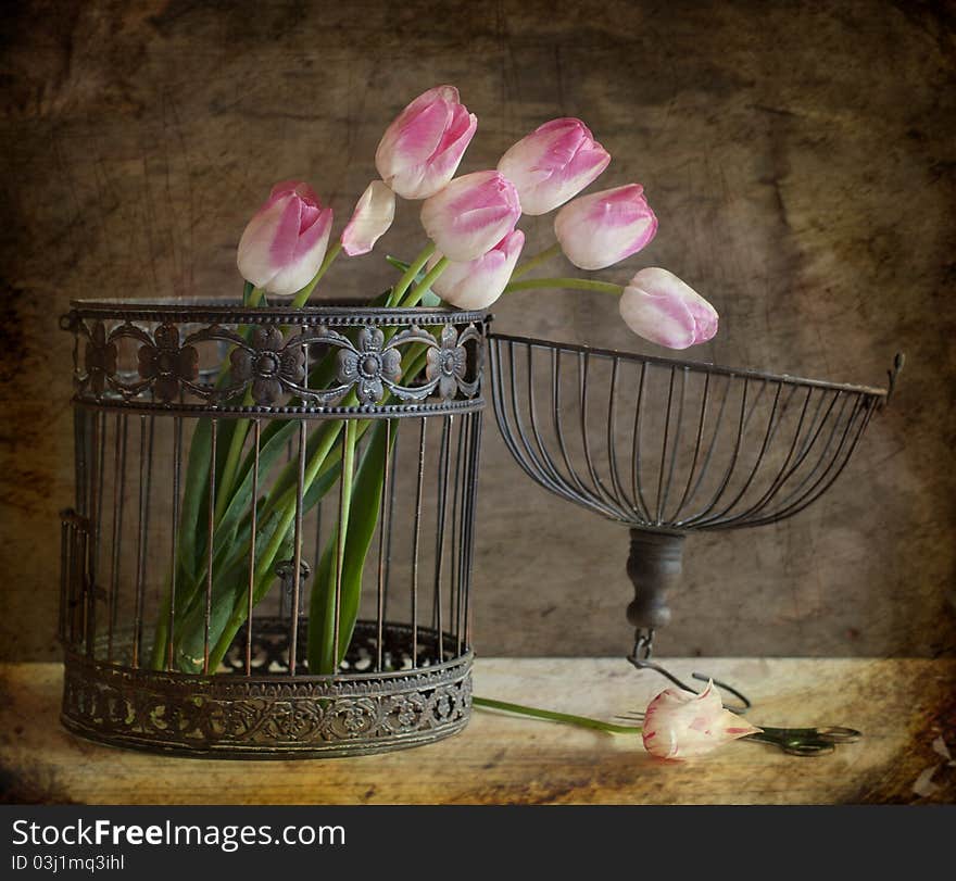 Bouquet of tulips and cage