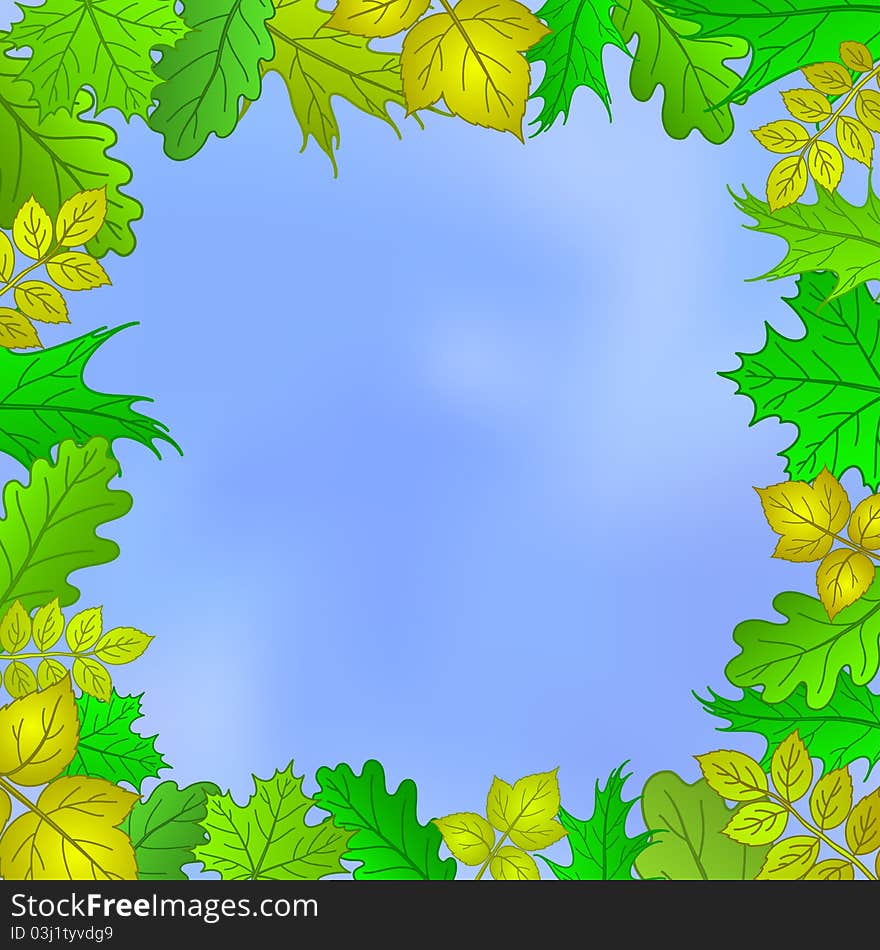 framework from leaves of various plants and blue sky. framework from leaves of various plants and blue sky