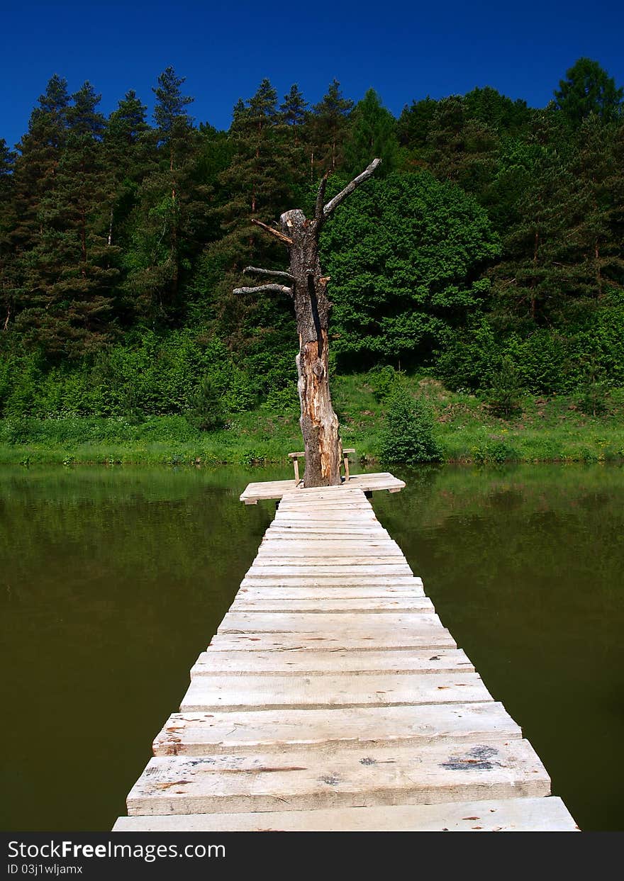 A footbridge to an old tree in ihe middle of the lake.