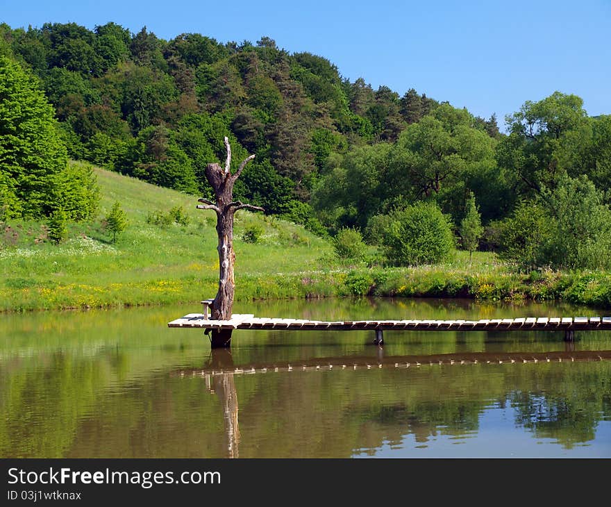 A footbridge to an old tree in ihe middle of the lake.