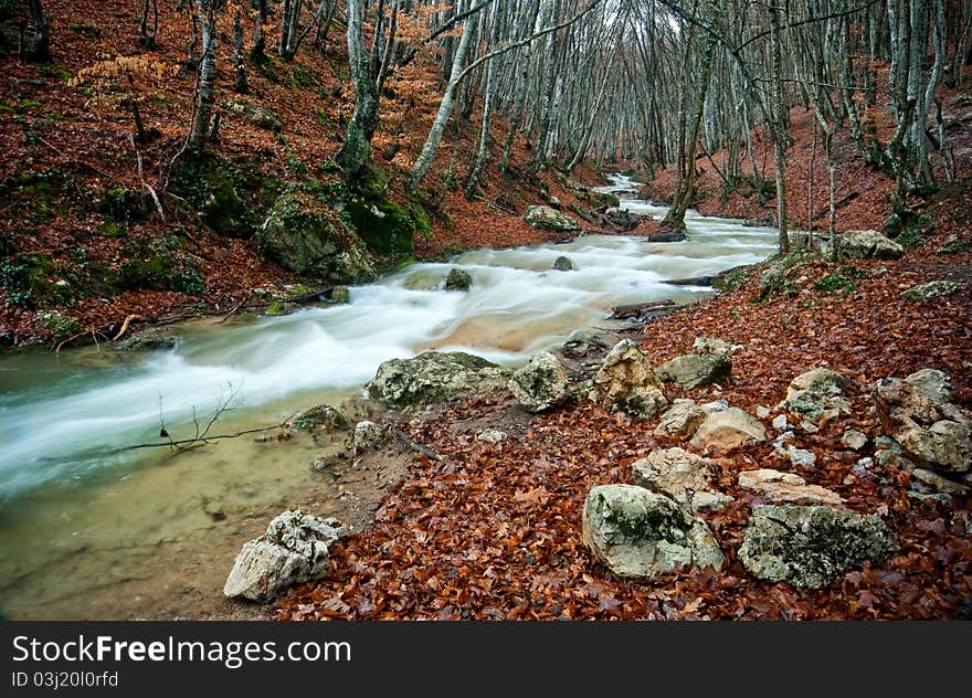 Rapid river stream among mountain autumn forest. Rapid river stream among mountain autumn forest