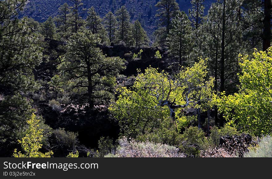 Landscape at sunset crater volcano