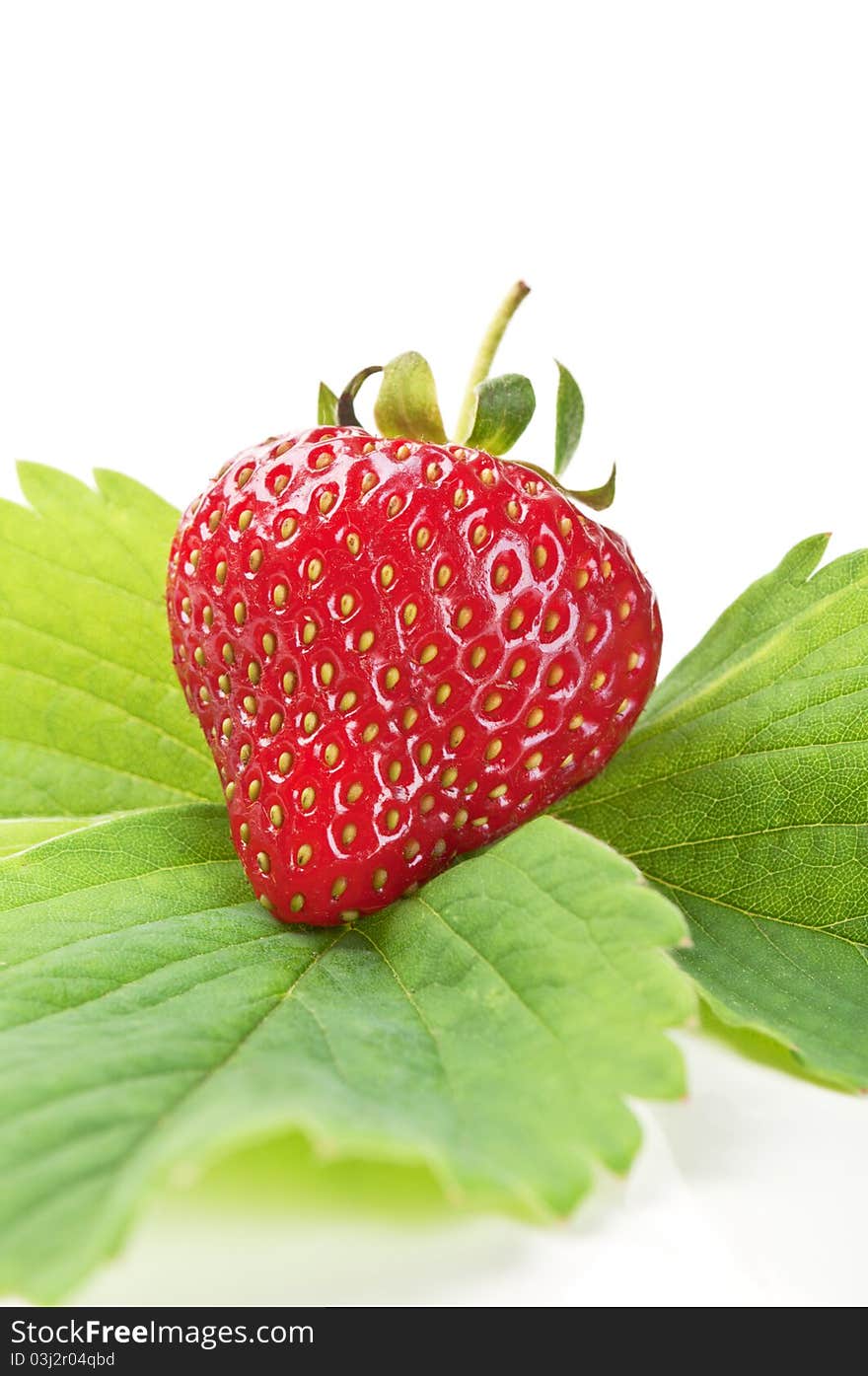 Fresh strawberry on a green leaf isolated on a white background