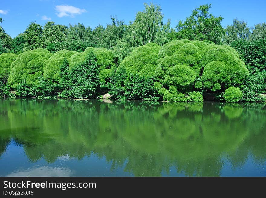 Photo of wood lake against the dark blue sky. Photo of wood lake against the dark blue sky.