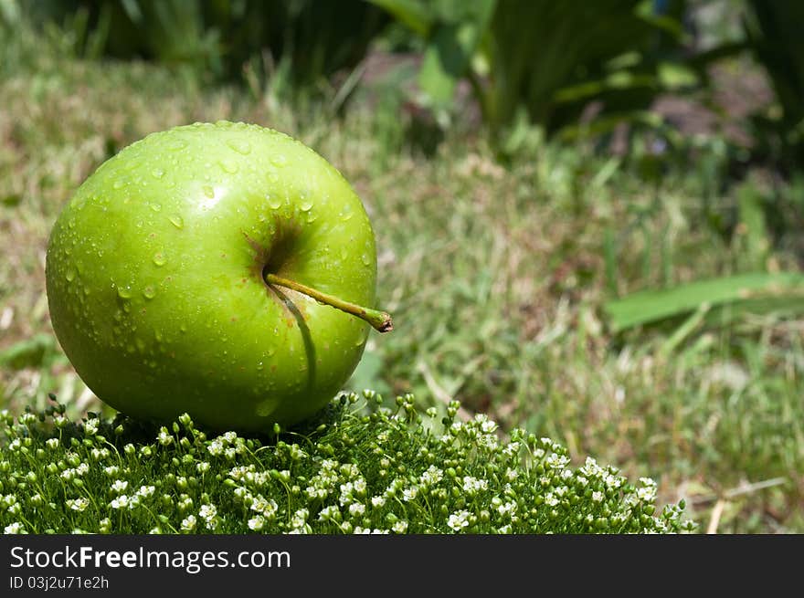 Fresh apple on a green grass background