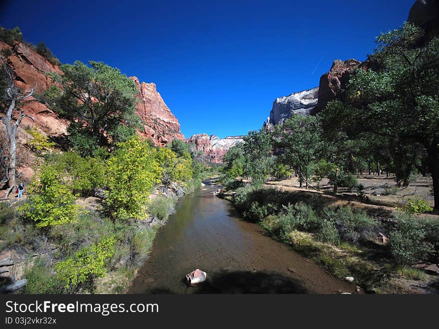 Zion park landscape