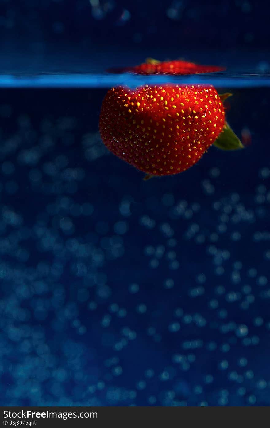 Strawberry submerged in water bath. Strawberry submerged in water bath