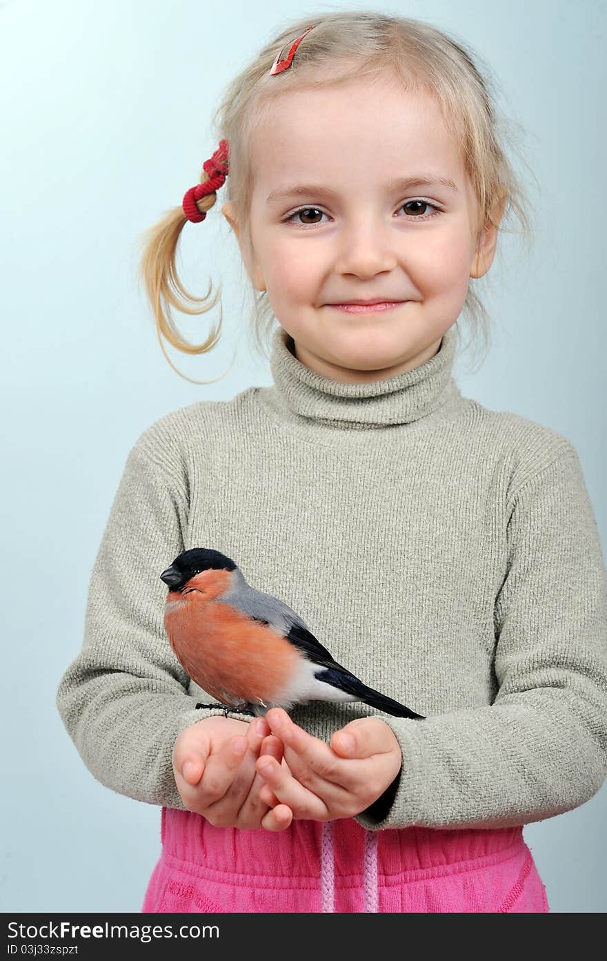 Little girl  holding  bright beautiful bullfinch. Little girl  holding  bright beautiful bullfinch