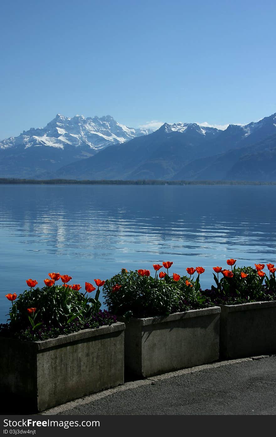 Swiss Riviera, Montreux