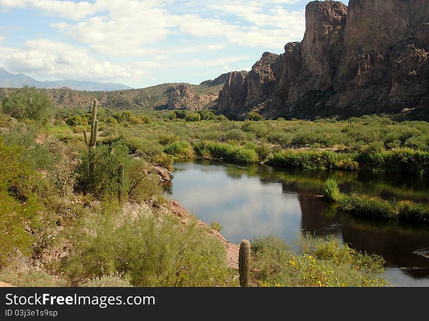 Salt River