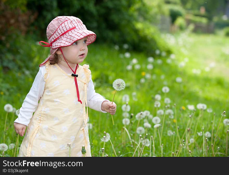 Toddler With Blowball