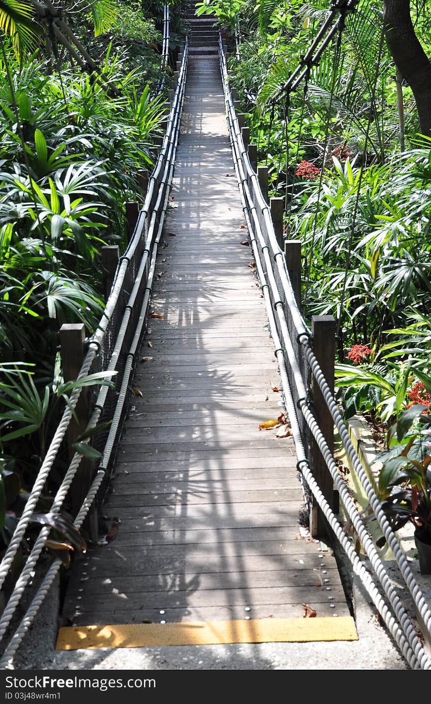 The suspension foot bridge