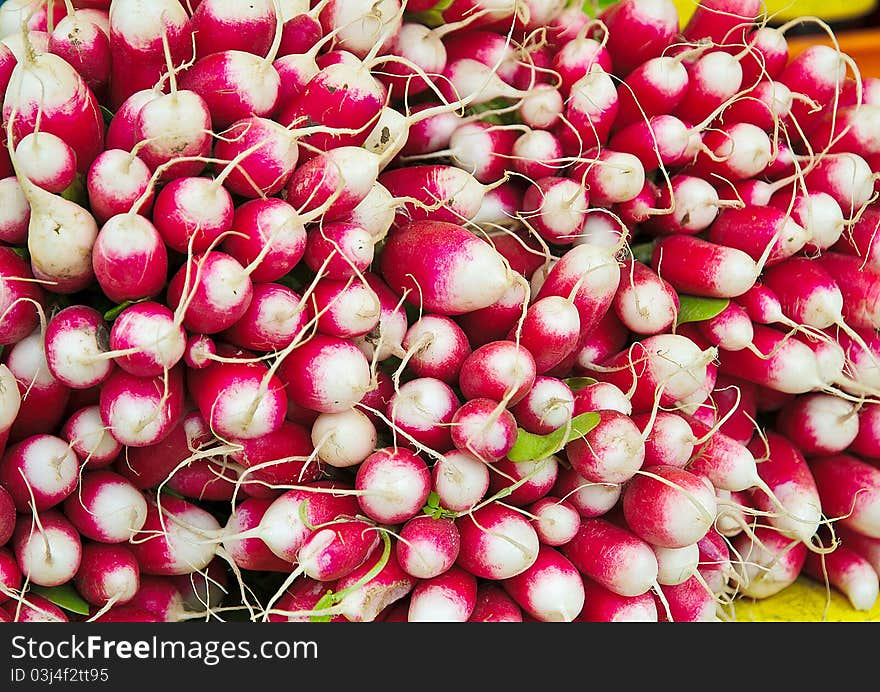 Fresh red and white radishes in a market