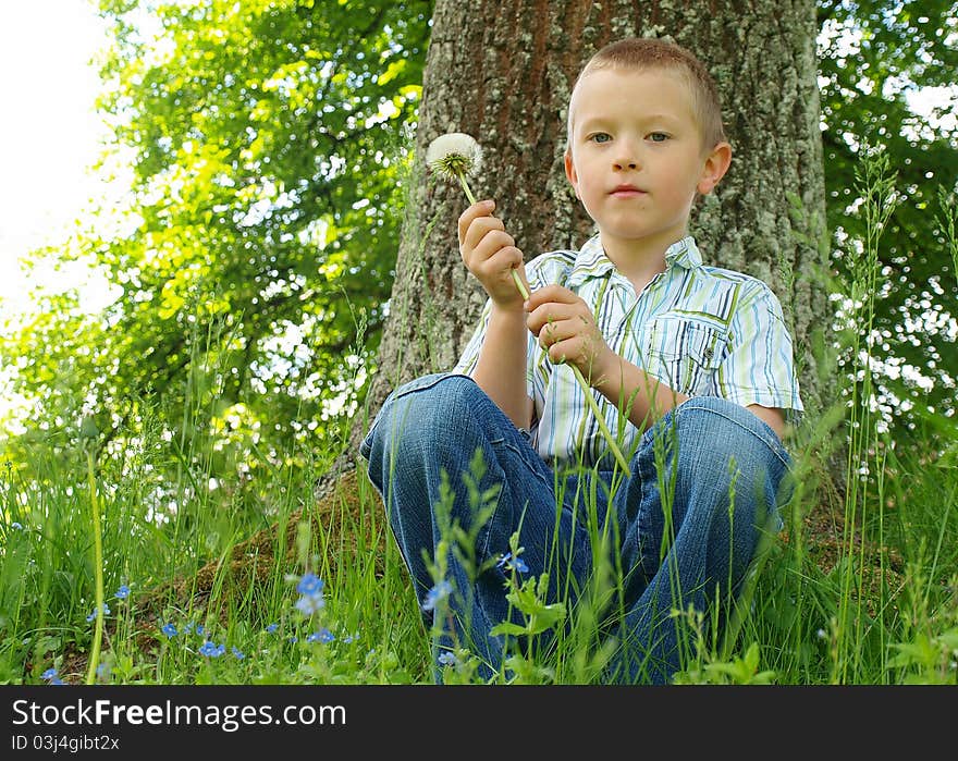 Portrait of a boy outdoor in a park