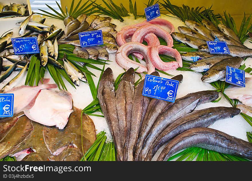 Variety Of Fresh Fish On Ice