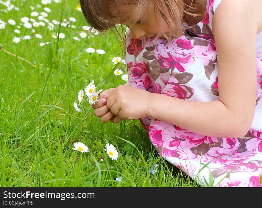 Girl picking flowers