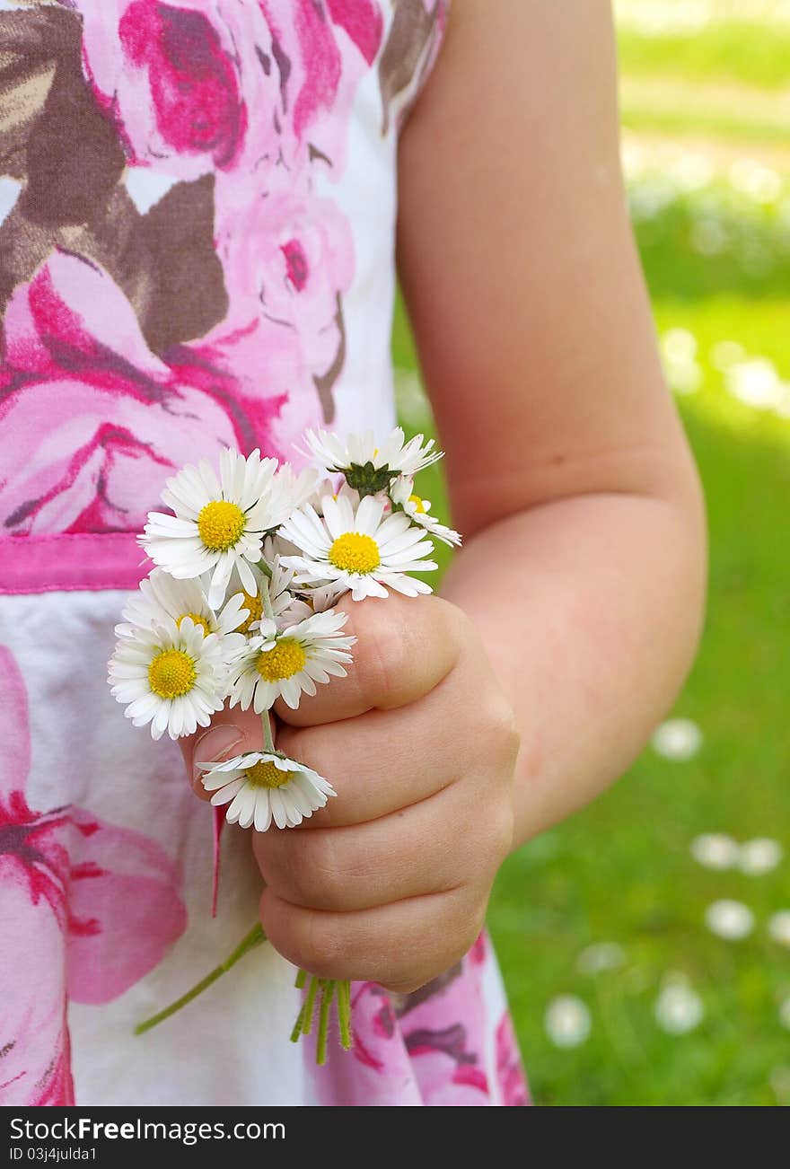 A Girl's hand holding a daisy