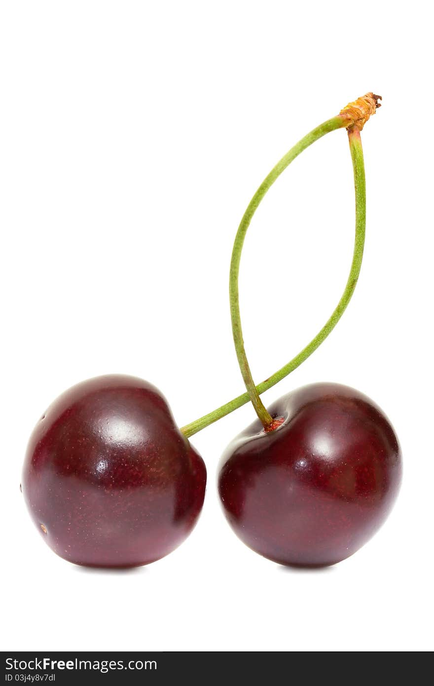 Fresh Cherries