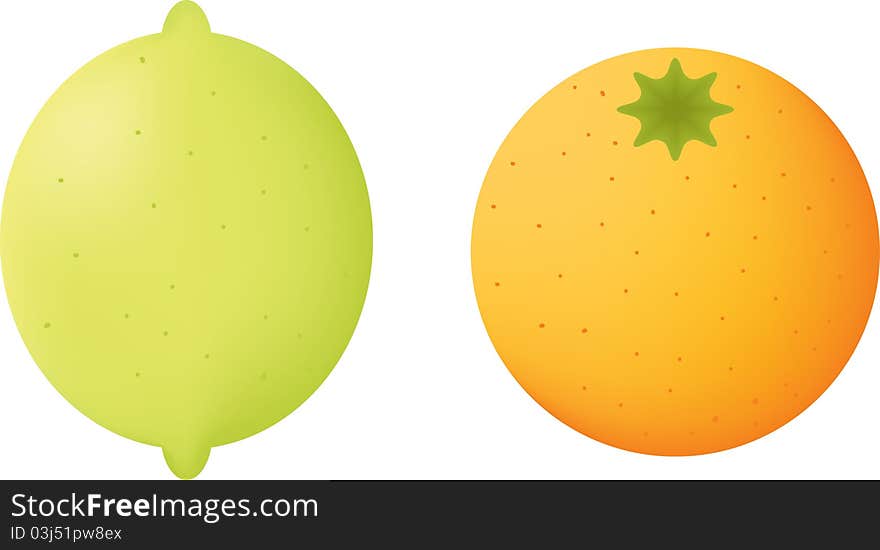 Illustration of lemon and orange