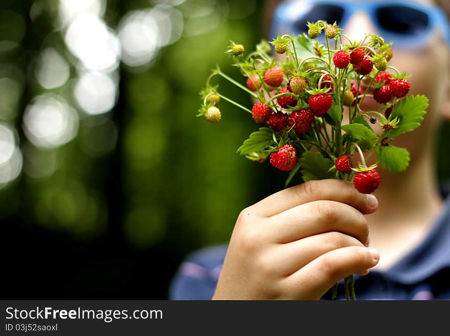 Wild red berries