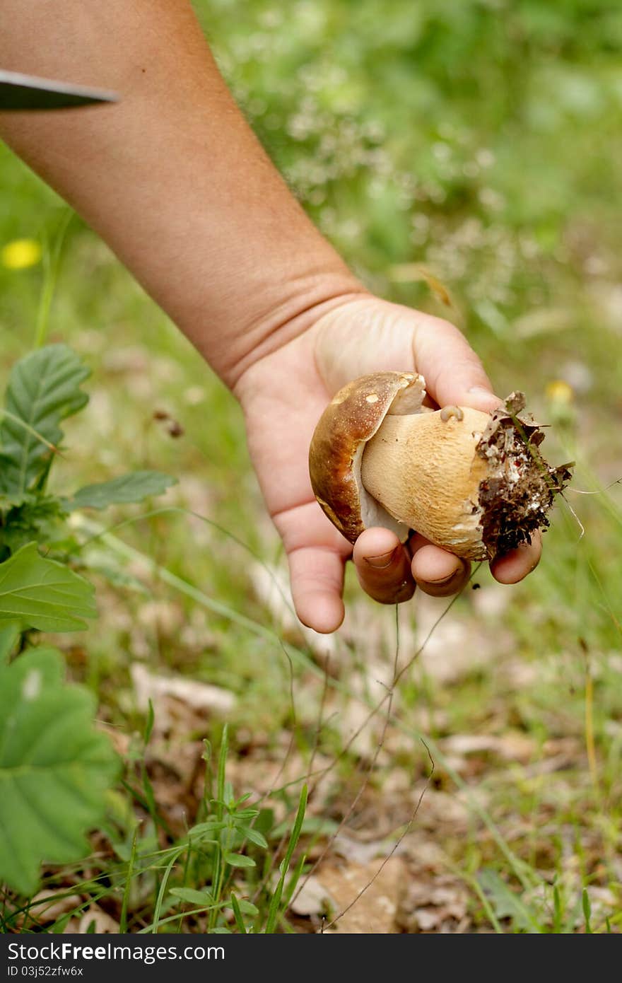 Grabbing a mushroom